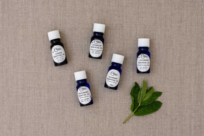 pure essentials oils laid on a piece of canvas with a sprig of peppermint