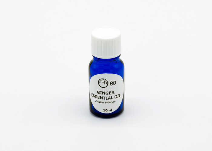 Oleo Bodycare Ginger Essential Oil Oleo Bodycare Pure Ginger Essential Oil